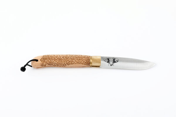 Couteau ELEPHANT série Sauvage collection FOCUS